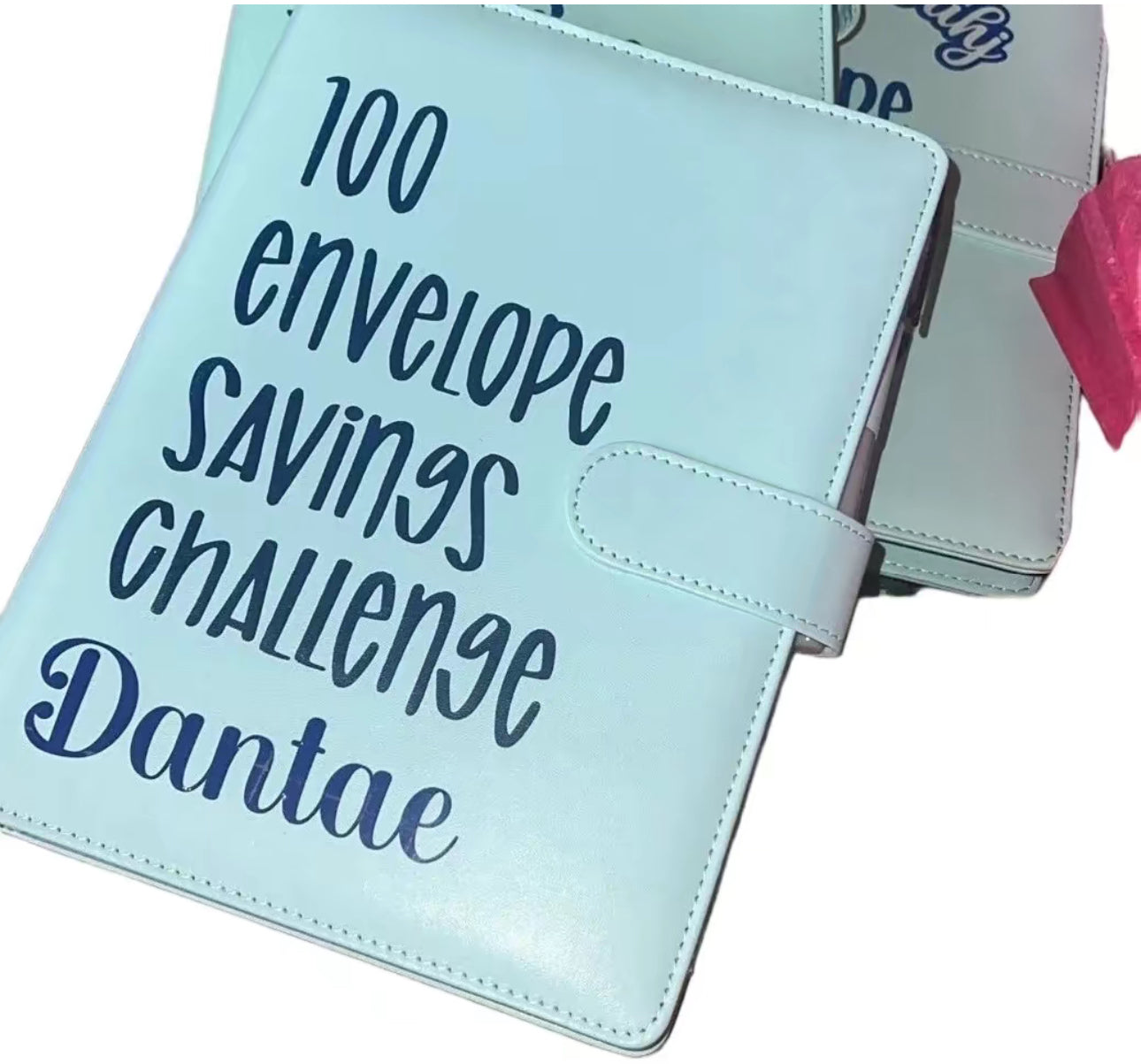 Savings Challenge binder- Personalized
